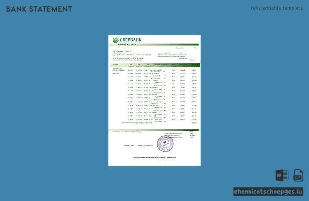 Beispiel für einen Kontoauszug der russischen Sberbank (Vorschau)